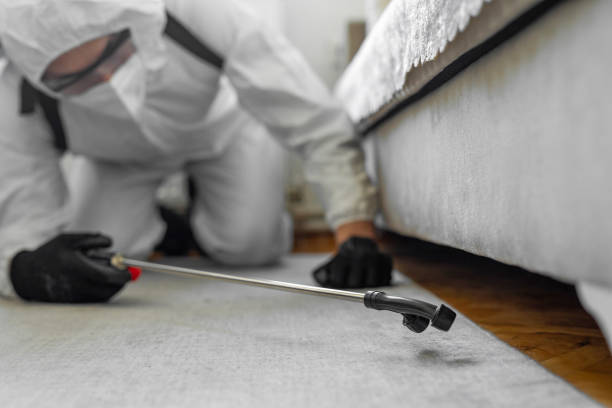 Professional Cockroach Control technician working in Quinnesec, MI