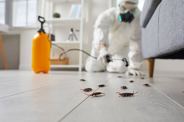 Affordable Cockroach Control solutions in Quinnesec, MI